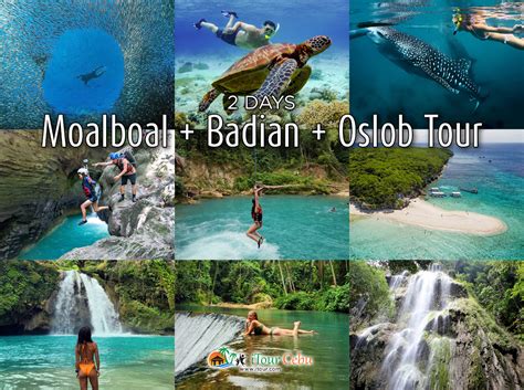 south cebu itinerary|South Cebu Itinerary for 2 Days: Moalboal and Badian Itinerary and.